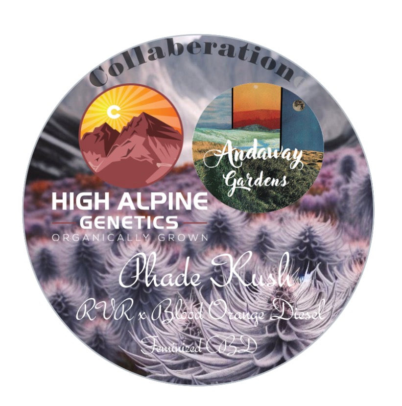 Phade Kush - Collaboration.  Not available in Monster Mash packs.