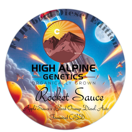 Rocket Sauce  Feminized Type 3 CBD Seeds (Blood Orange Diesel Line)