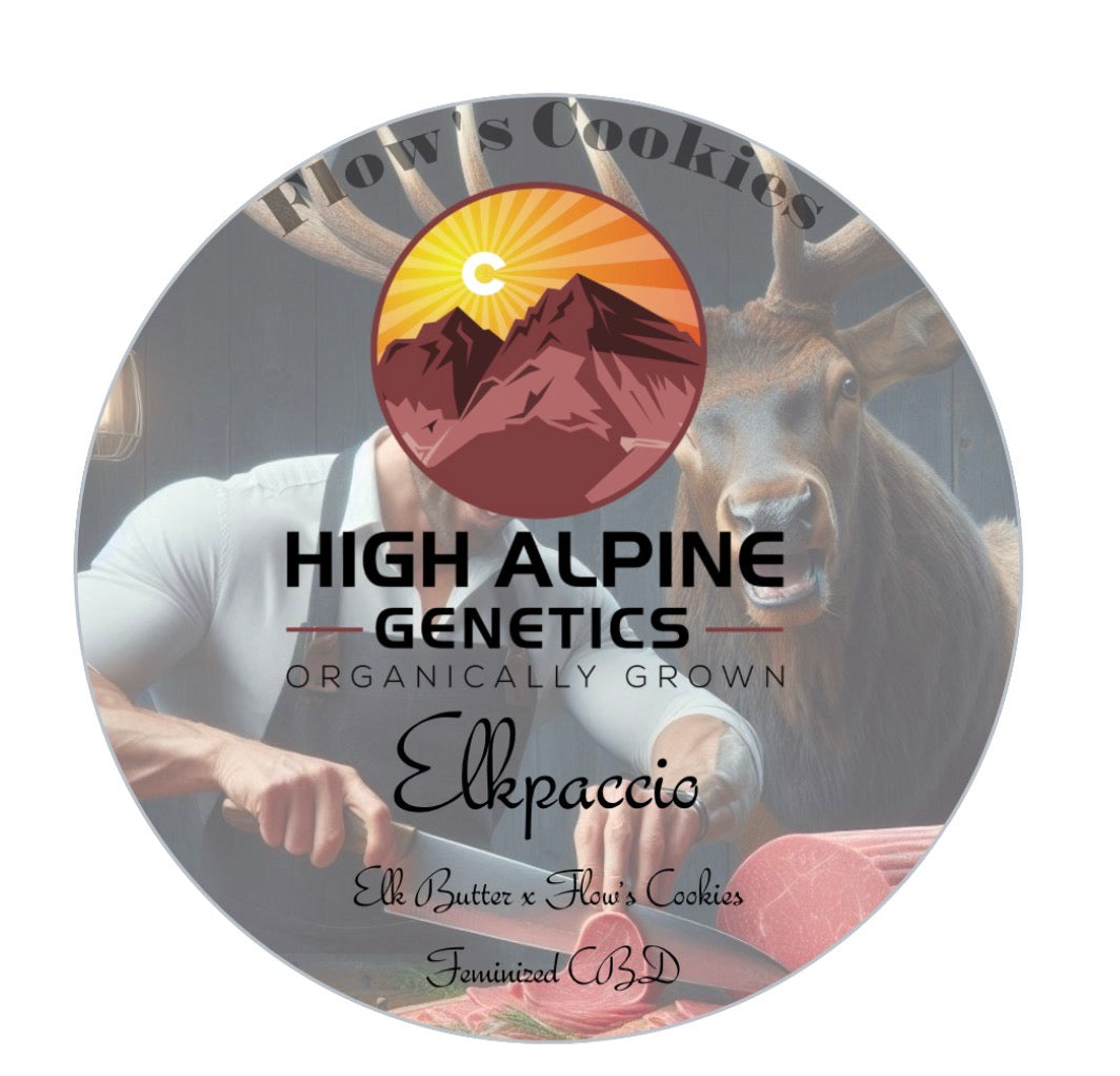 Elkpaccio Feminized Type 3 CBD Seeds (Flow's Cookies Line)