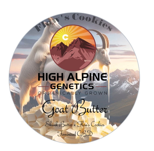 Goat Butter Feminized Type 3 CBD Seeds (Flow's Cookies Line) Not eligible for Monster Mash