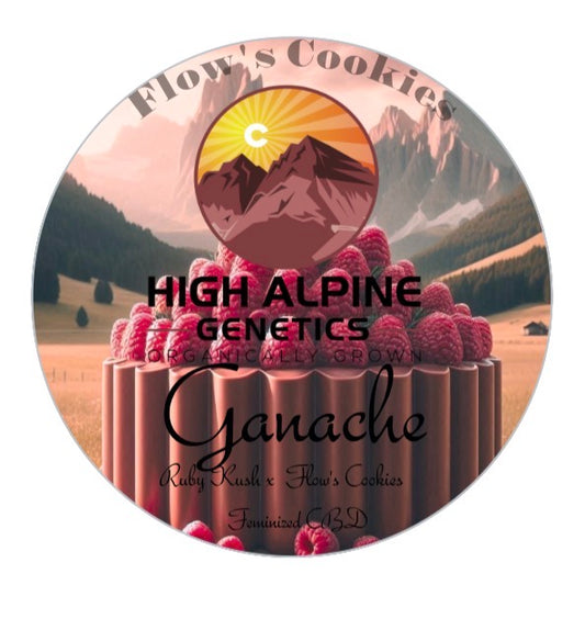 Ganache Feminized Type 3 CBD Seeds  (Flow's Cookies Line)