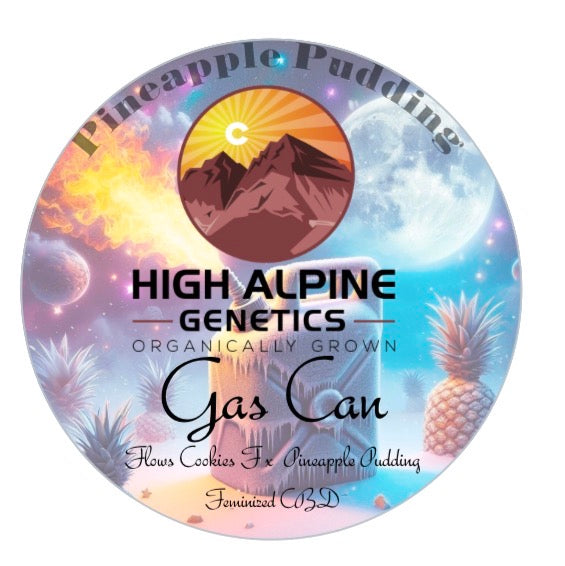 Gas Can Feminized Type 3 CBD Seeds (Flow's Cookies Line)