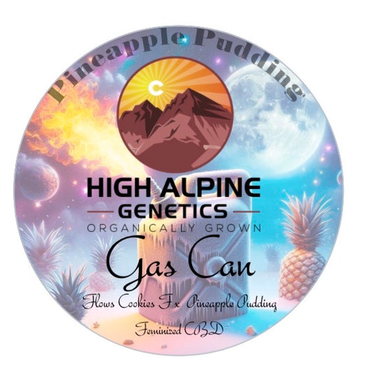 Gas Can Feminized Type 3 CBD Seeds (Flow's Cookies Line)