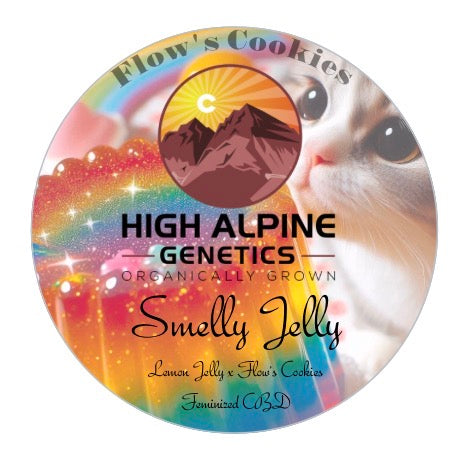 Smelly Jelly Feminized Type 3 CBD Seeds (Flow's Cookies Line)