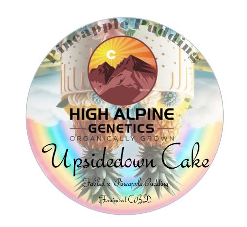 Upsidedown Cake   Feminized Type 3 CBD seeds  (Pineapple Pudding Line)