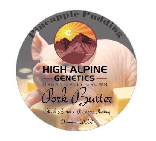 Pork Butter Feminized Type 3 CBD Seeds (Pineapple Pudding Line)