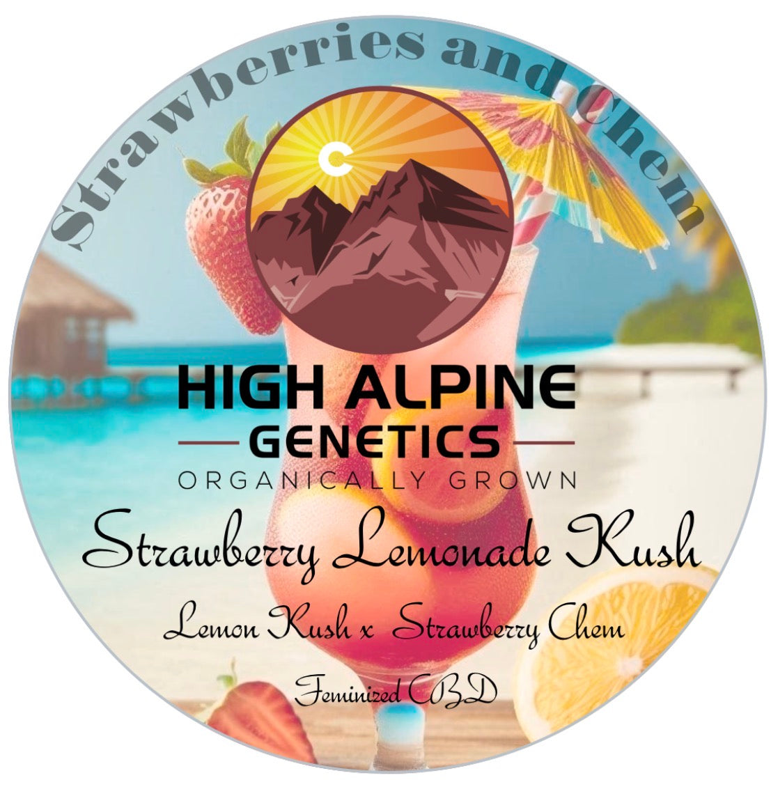 Strawberry Lemonade Kush Feminized Type 3 CBD Seeds (Strawberry Chem Line)