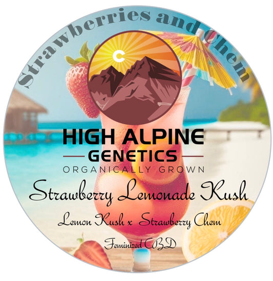 Strawberry Lemonade Kush Feminized Type 3 CBD Seeds (Strawberry Chem Line)
