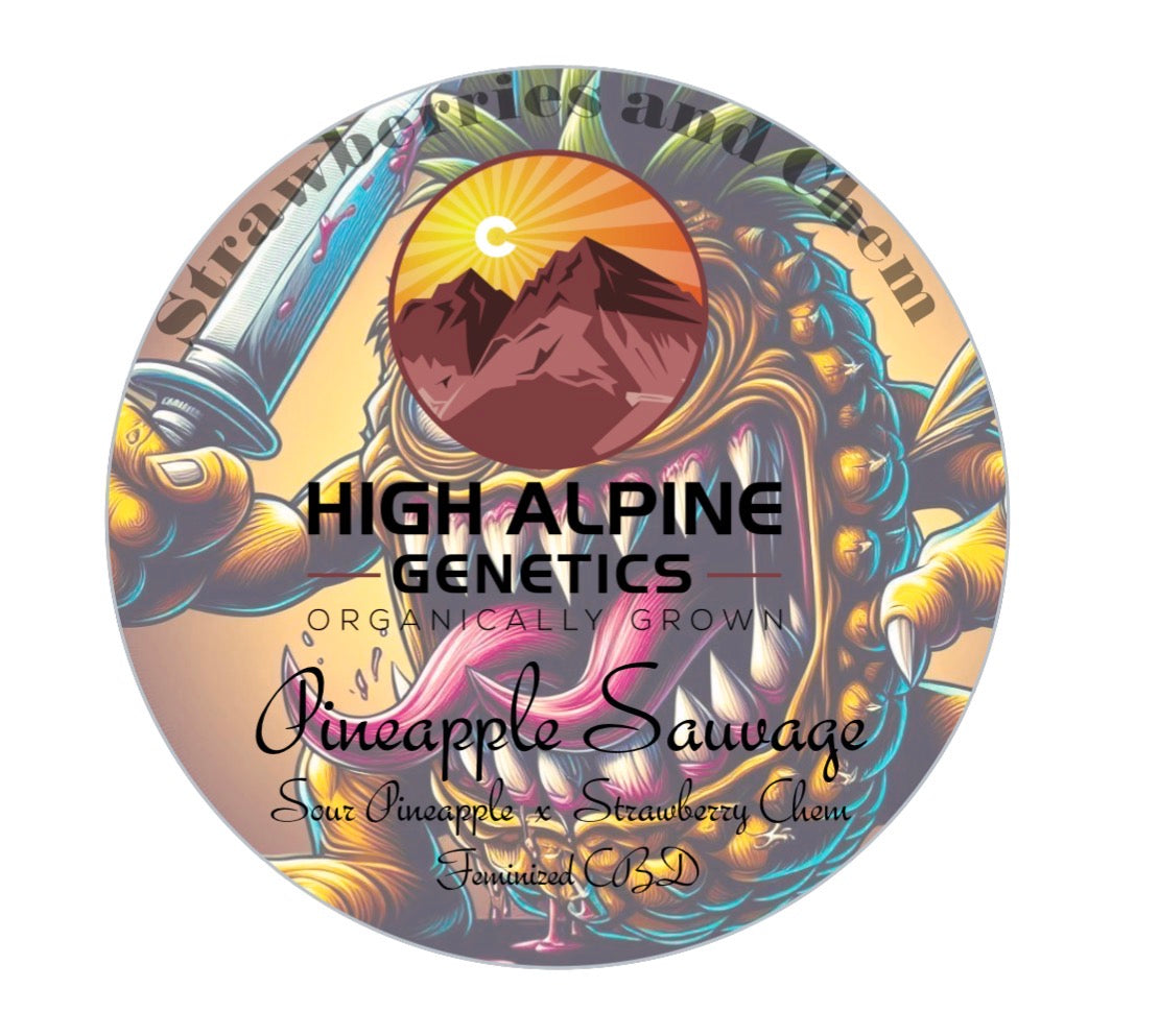 Pineapple Sauvage Feminized Type 3 CBD Seeds. Limited NOT Eligible for Monster Mash
