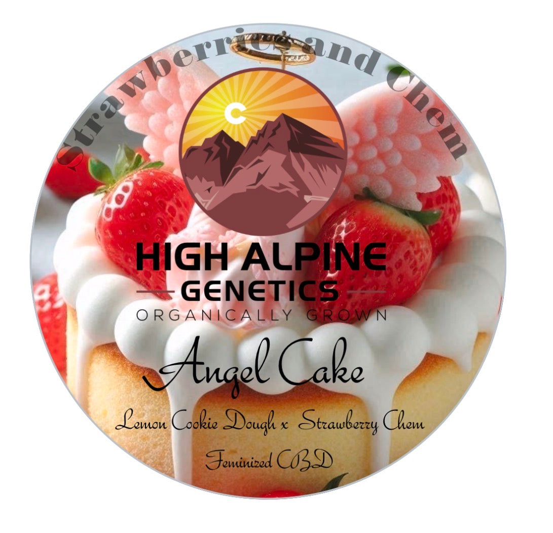 Angel Cake &nbsp;Feminized Type 3 CBD Seeds &nbsp;( Strawberry Chem Line). Limited Stock. NOT eligible for Monster Mash