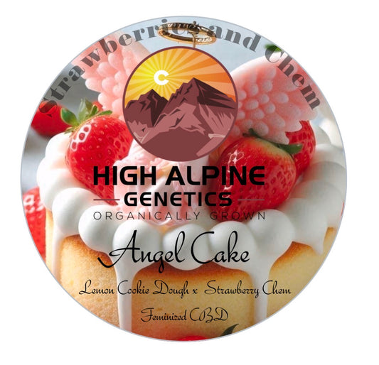 Angel Cake &nbsp;Feminized Type 3 CBD Seeds &nbsp;( Strawberry Chem Line). Limited Stock. NOT eligible for Monster Mash