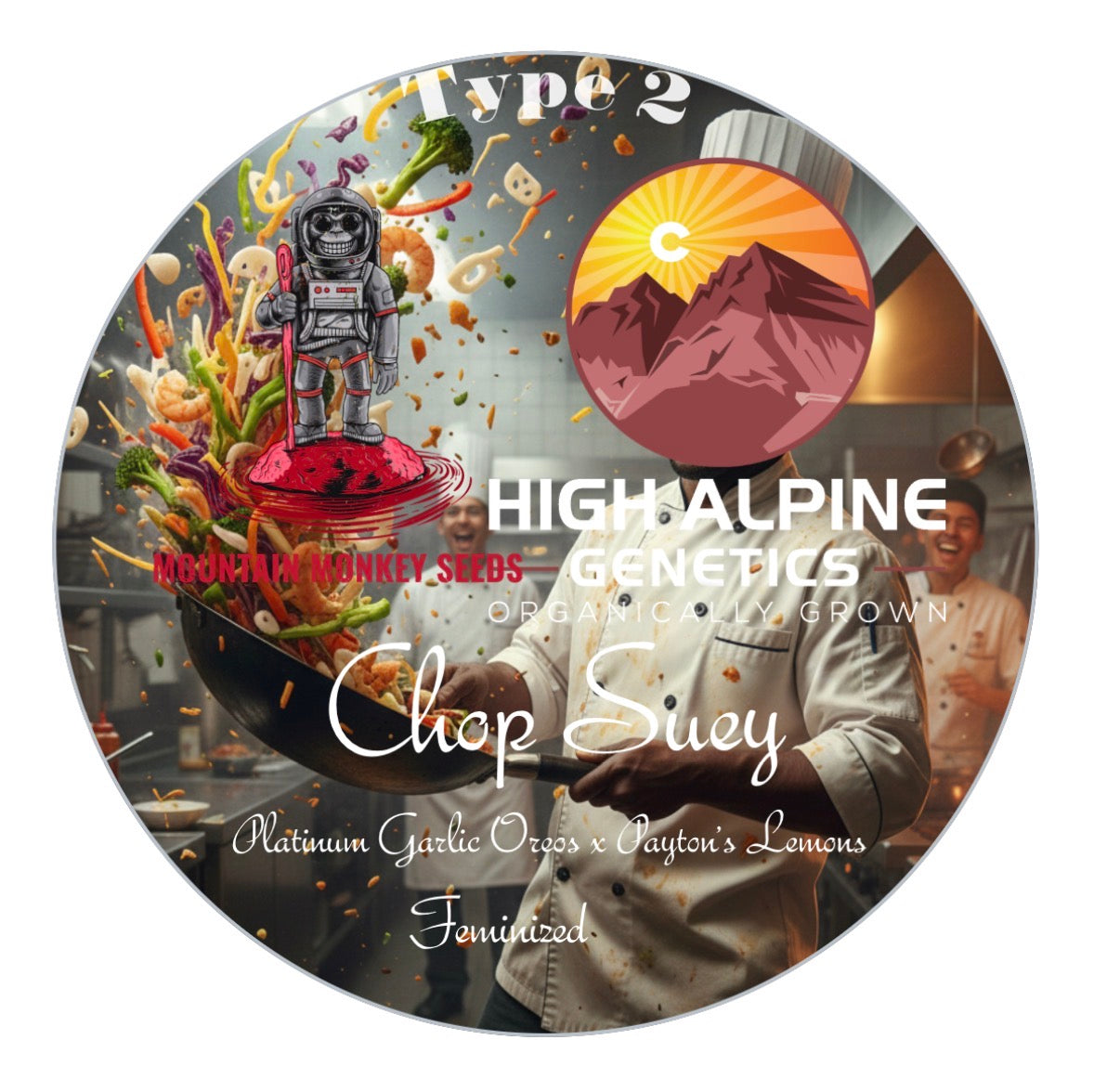 Chop Suey 10 Feminized Type 2 Seeds