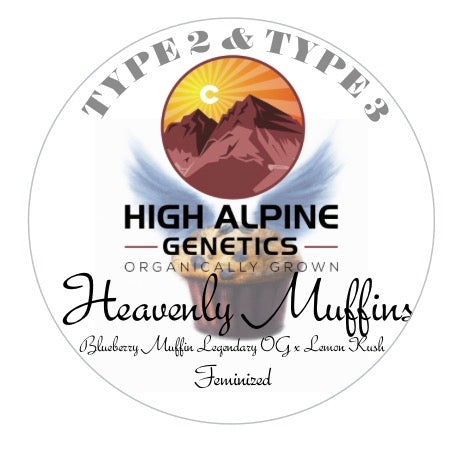 Heavenly Muffins 10 Fem Seeds (Type 2)
