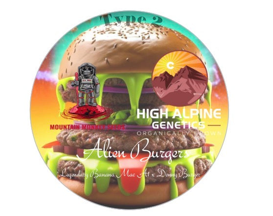Alien Burgers 20 Seeds (Male/Female Type 2)