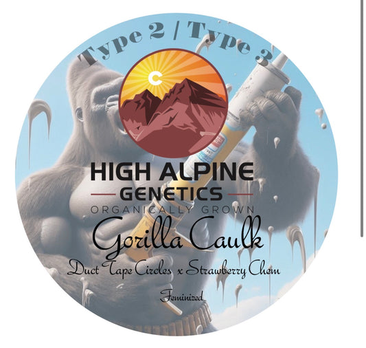 Gorilla Caulk 20 Fem seeds (Type 2 Type 3)