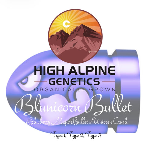Bluincorn  Bullet 10 Seeds (Male/Female Type 2 Type 3)