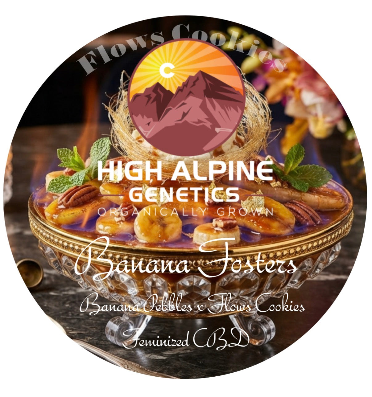 Banana Fosters Feminized Type 3 CBD Seeds (Fruity Pebbles Line) Not Available for Monster Mash