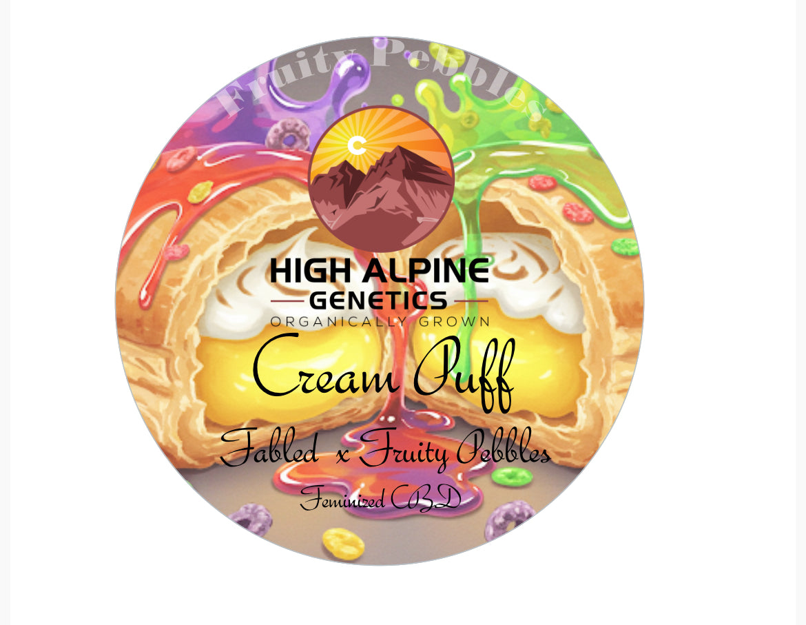 Cream Puff Feminized Type 3 CBD Seeds (Fruity Pebbles Line)