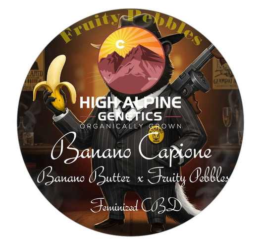 Banano Capione  Feminized Type 3 CBD Seeds (Fruity Pebbles Line)