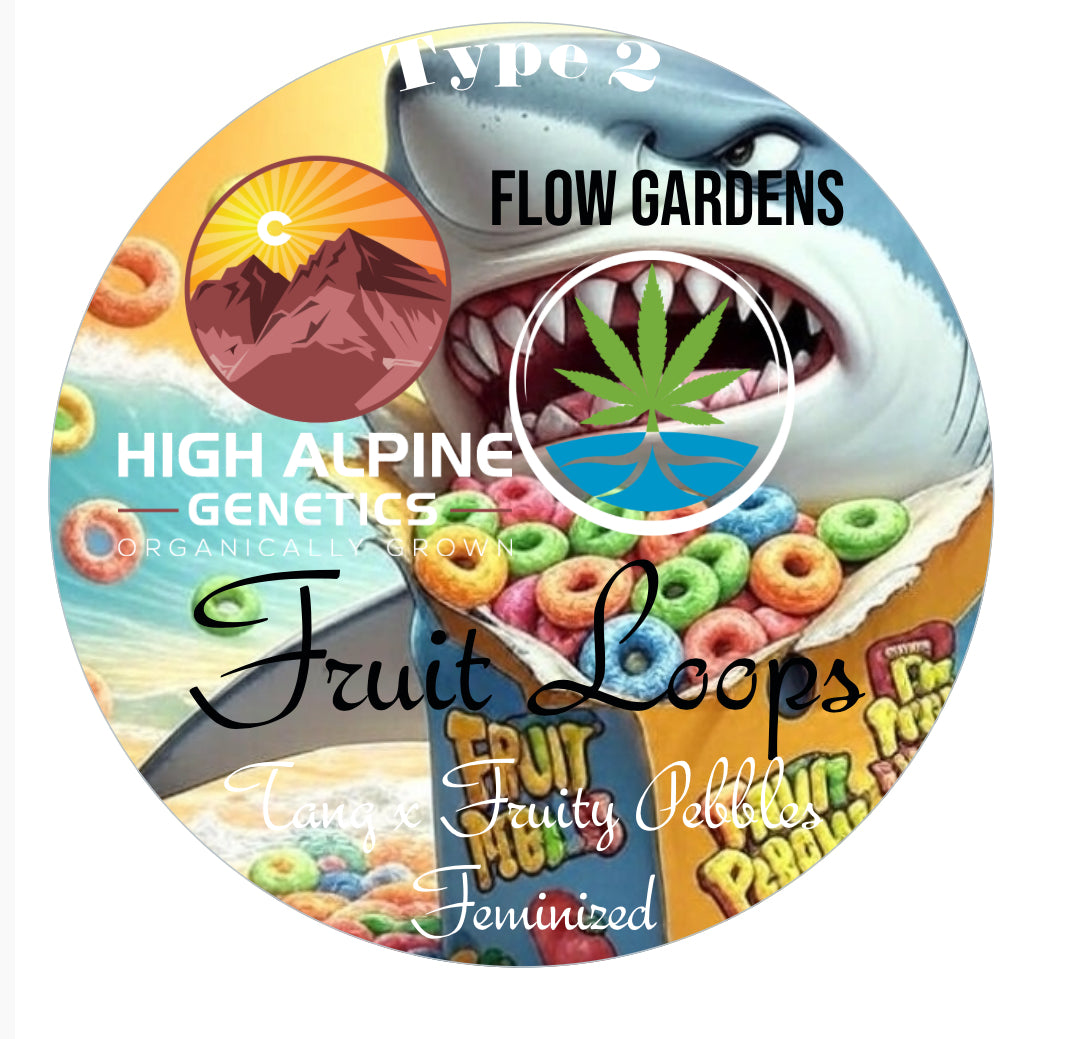 Fruit Loops 10 Feminized Seeds (Fruity Pebbles Line Type 2)