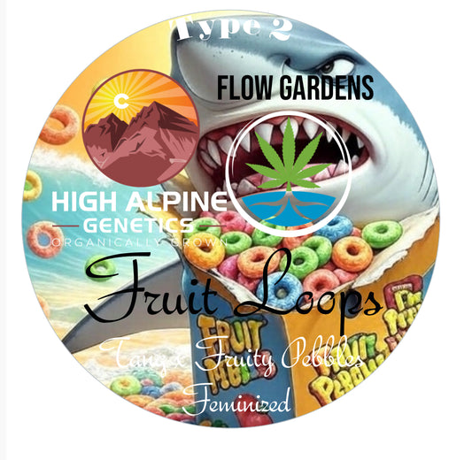 Fruit Loops 10 Feminized Seeds (Fruity Pebbles Line Type 2)