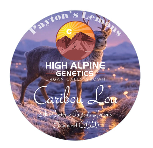 Caribou Lou Feminized CBD Seeds (Payton's Lemons Line)