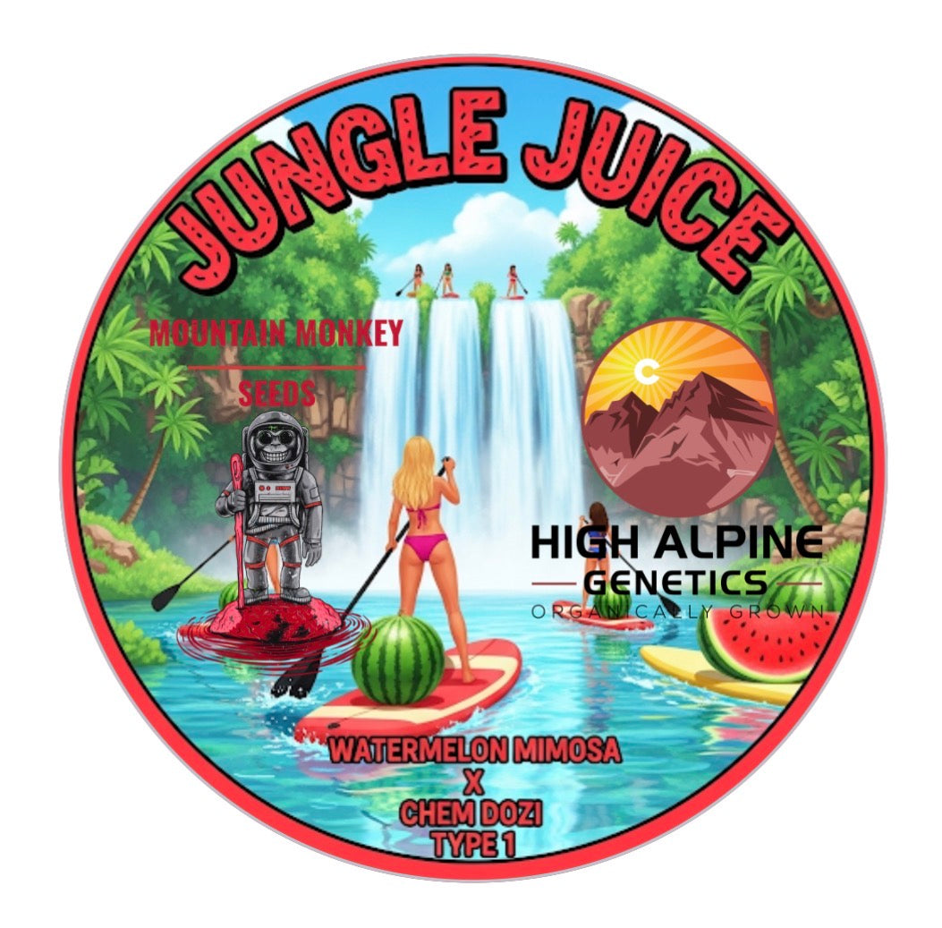 Jungle Juice (Chem Dozi Line Type 1) 10 Seeds