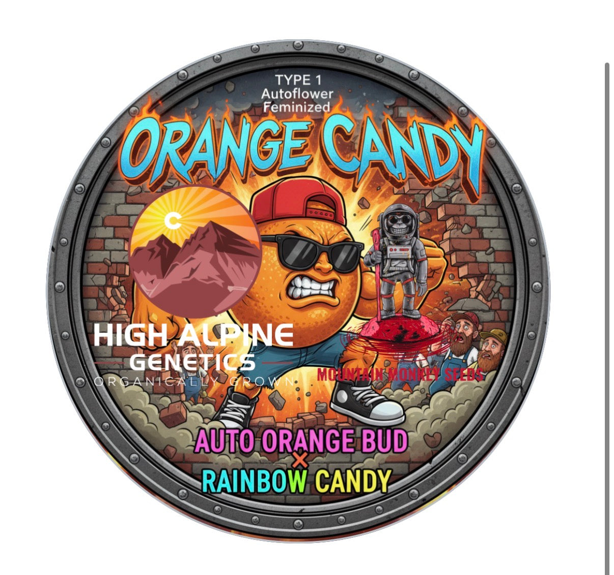 Orange Candy 10 Feminized Seeds  (Type 1 Autoflower)