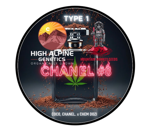 Chanel #8 20 Feminized Seeds (Chem Dozi Line Type 1)