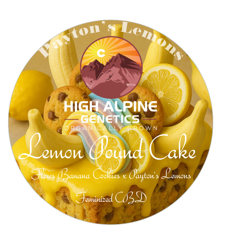 Lemon Pound Cake Feminized Type 3 CBD Seeds (Payton's Lemons Line)