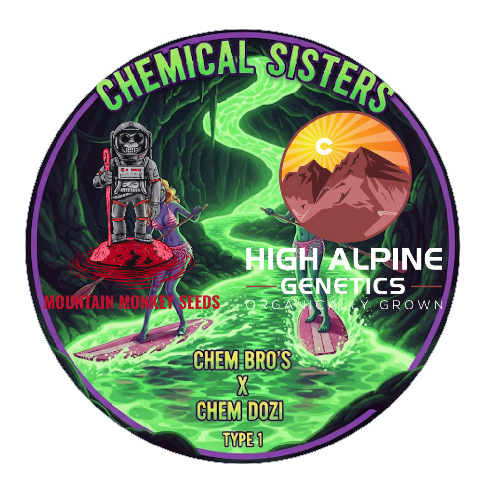 Chemical Sisters ( Chem Dozi Line Type 1) 10 Seeds