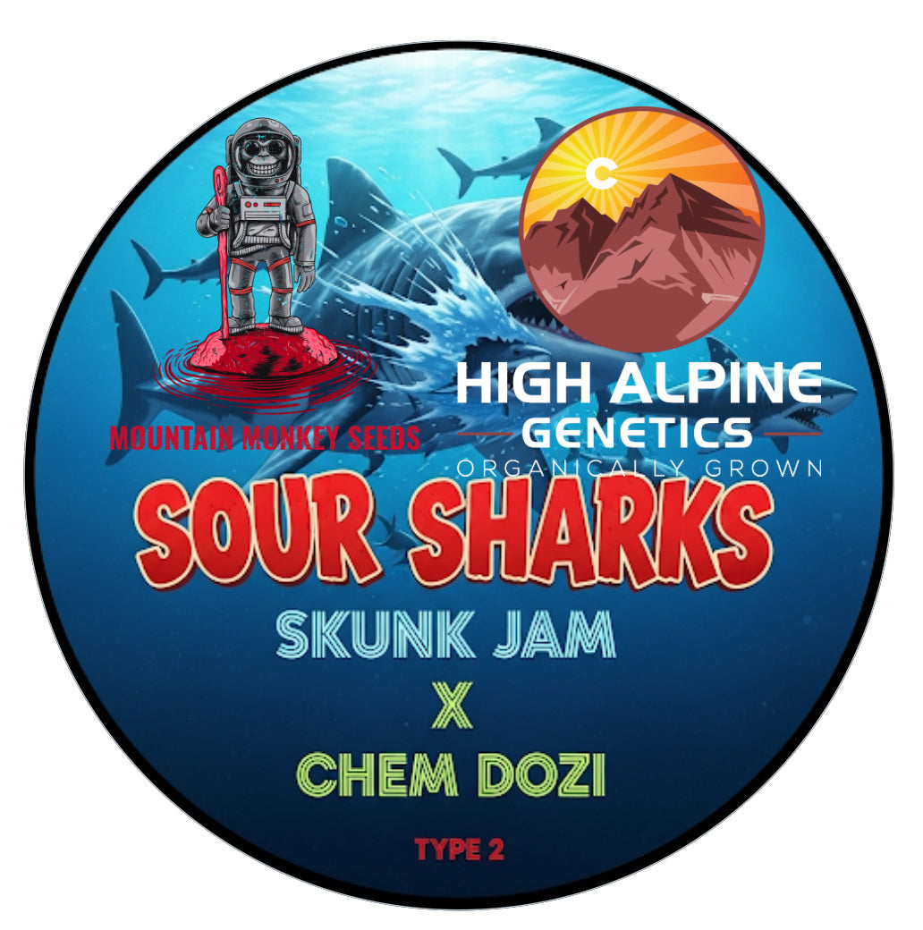 Sour Sharks 10 Feminized Seeds (Chem Dozi Line Type 2)