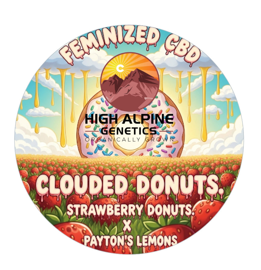 Clouded Doughnuts  Feminized Seed (Paytons Lemons Line Type 3) .....Highly Limited not included in monster mash combo