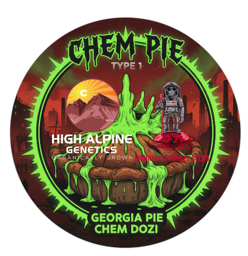 Chem Pie 20 Feminized Seed (Chem Dozi Line Type 1)