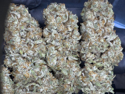 Caribou Lou Feminized CBD Seeds (Payton's Lemons Line)