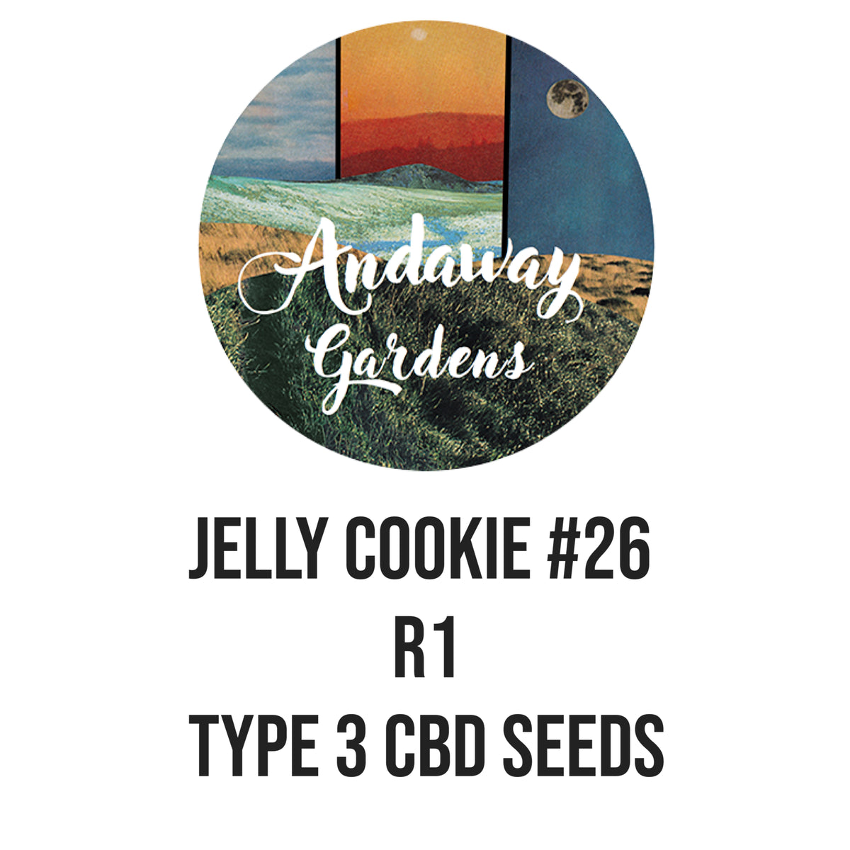 Jelly Cookie  X R1 Type 3 Seed