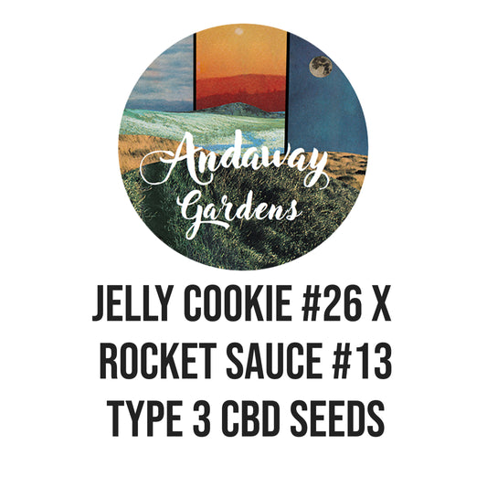 Jelly Cookie #26 X Rocket Sauce #13 Type 3 Seed