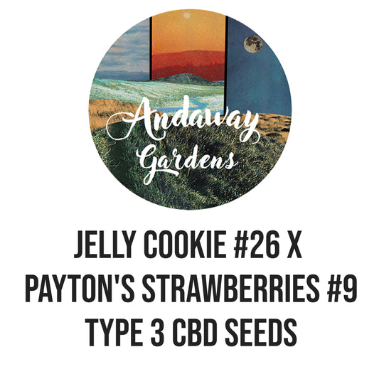 Jelly Cookie #26 X Payton's Strawberries #9 Type 3 Seed