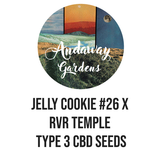 Jelly Cookie #26 X RVR Temple Type 3 Seed