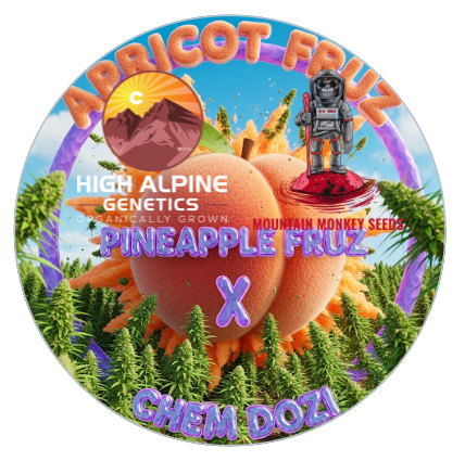 Apricot Fruz 10 Feminized Seeds (Chem Dozi Line Type 1)