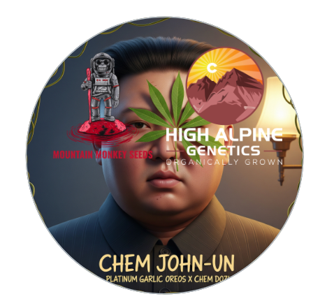 Chem John-Un 20 Feminized Seeds (Chem Dozi Line Type 1)