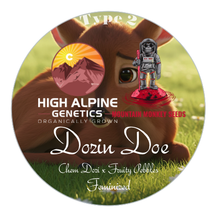 Dozin Doe  10 Feminized Seeds (Fruiy Pebbles Line Type 2)