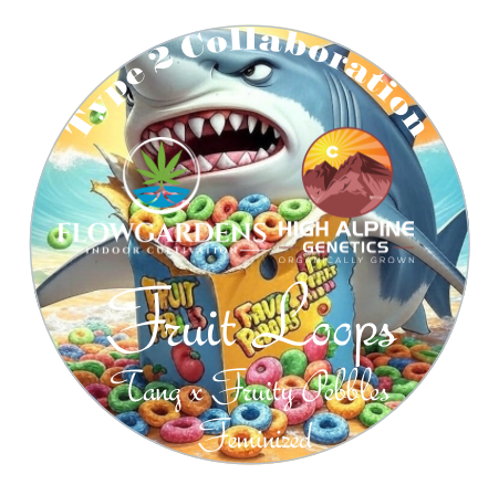 Fruit Loops 10 Feminized Seeds (Fruity Pebbles Line Type 2)