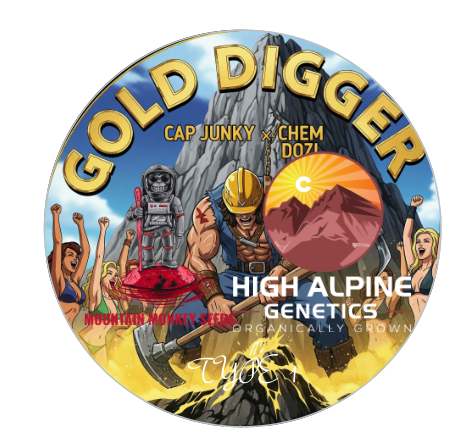 Gold Digger 20 Fem Seeds (Chem Dozi Line Type 1)