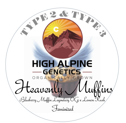 Heavenly Muffins 20 Fem Seeds (Type 2)