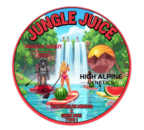 Jungle Juice (Chem Dozi Line Type 1) 10 Seeds