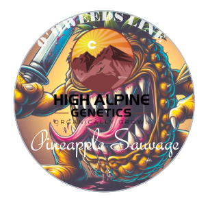 Pineapple Savage and Sour Pineapple Kief 1 Gram