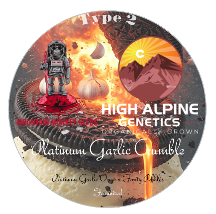 Platinum Garlic Crumble 20 Seeds (Fruity Pebbles Line Type 2)