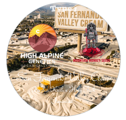 San Fernando Valley Cream  (Type 1) Feminized 10 Seeds
