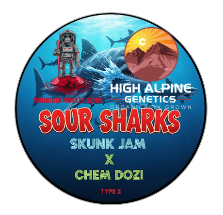 Sour Sharks 10 Feminized Seeds (Chem Dozi Line Type 2)